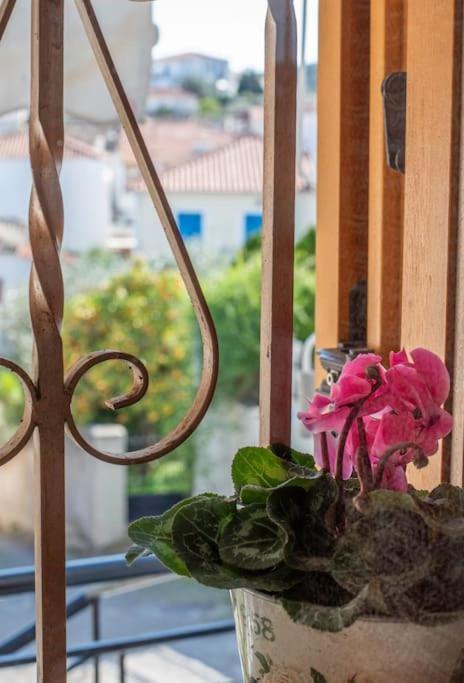 Apartament Ellie'S Vintage House Galaxídhion Zewnętrze zdjęcie